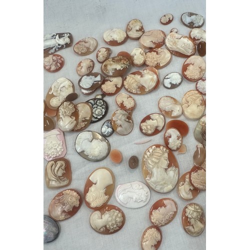 548 - A large collection of cameo shells, various sizes