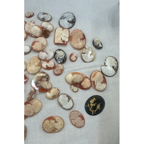 548 - A large collection of cameo shells, various sizes