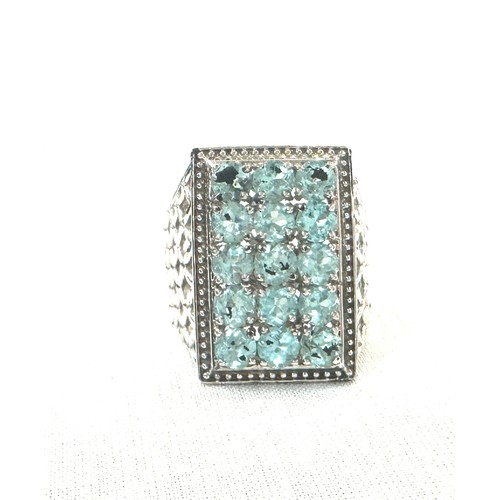 495 - Silver ring set with blue stones, approximate overall weight 8.4g, ring size T