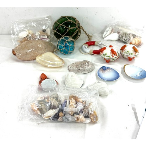 70A - Selection of sea shells and sea related items