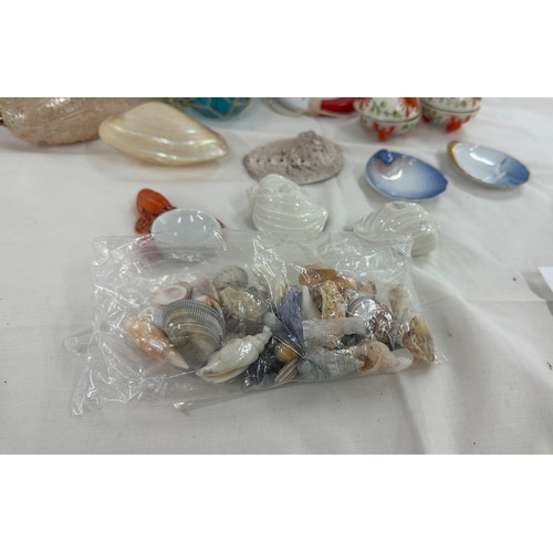 70A - Selection of sea shells and sea related items