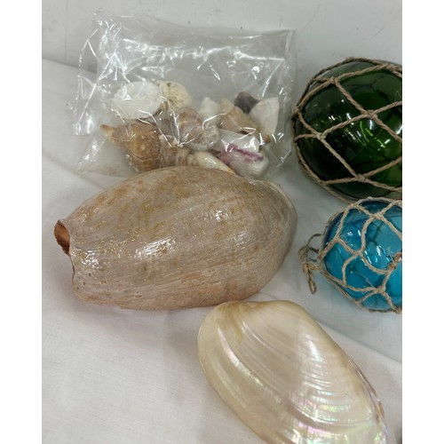 70A - Selection of sea shells and sea related items