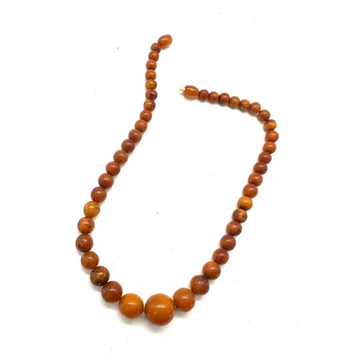 558 - Antique amber bead necklace, approximate weight 20g, length 42cm