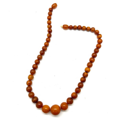 558 - Antique amber bead necklace, approximate weight 20g, length 42cm