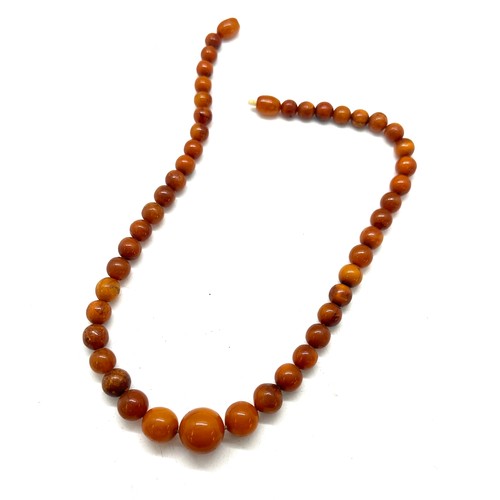 558 - Antique amber bead necklace, approximate weight 20g, length 42cm