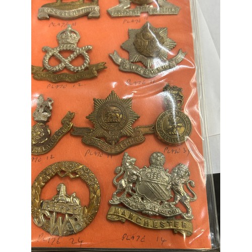 447 - Military Mounted Cap Badges Inc Irish, North Staffs, SWB Etc x 24