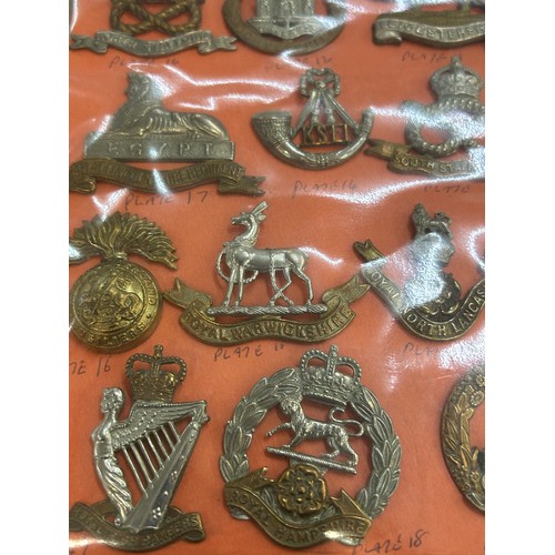 447 - Military Mounted Cap Badges Inc Irish, North Staffs, SWB Etc x 24