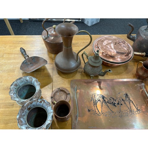 247 - Large selection of assorted copper ware includes jugs, tea pots etc