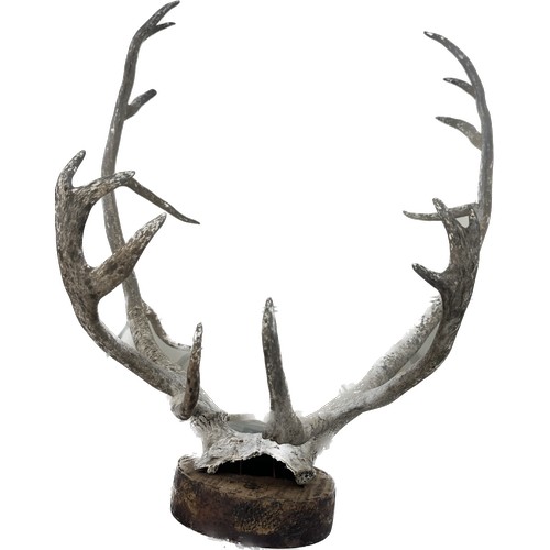 382 - Pair of large authentic Stag horns mounted on a wall plaque measures approximately 28 inches long x ... 