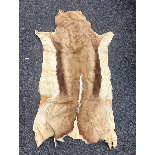 463 - Vintage authentic animal skin measures approximately 45 inches long x 23 wide