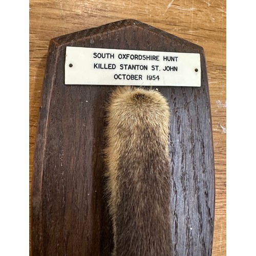 459 - Vintage F.W Bartlett fox paw taxidermy on a wall mounted plaque stating this piece was from the ' So... 