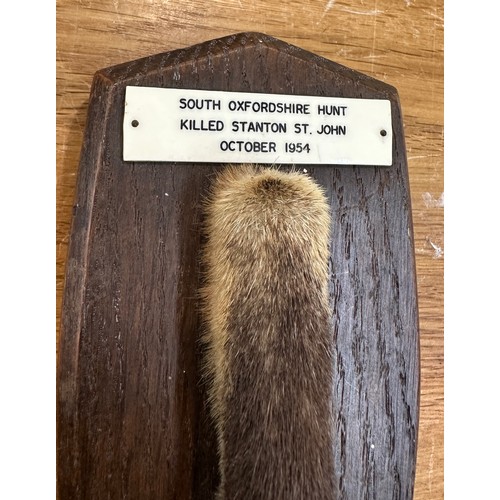 459 - Vintage F.W Bartlett fox paw taxidermy on a wall mounted plaque stating this piece was from the ' So... 