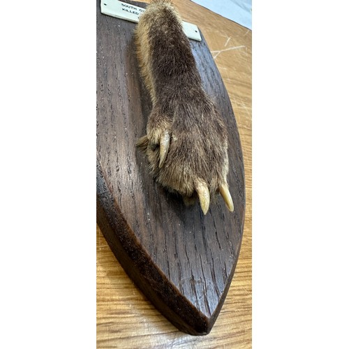 459 - Vintage F.W Bartlett fox paw taxidermy on a wall mounted plaque stating this piece was from the ' So... 