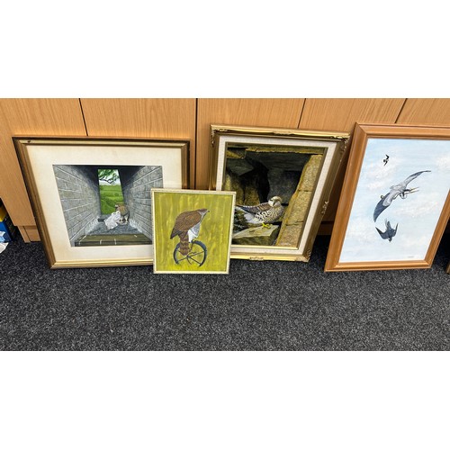 151 - Selection of seven Birds of Prey pictures largest measures approximately 27 x 21 inches