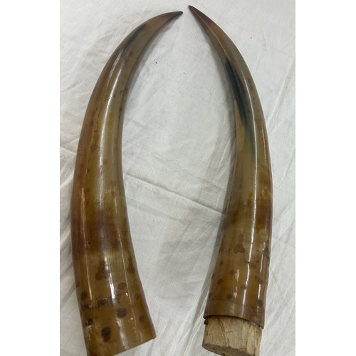 281 - Pair of vintage horns approximate length 19 inches