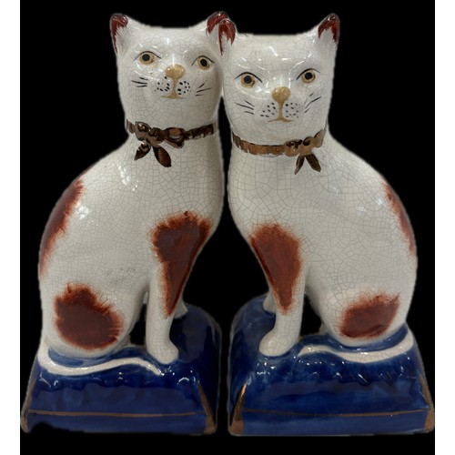 522 - Pair Staffordshire cats, blue and gilt cushion type bases, approximate height 20cm