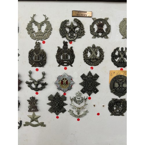 43 - Selection of 26 Scottish Regiment cap badges in a frame