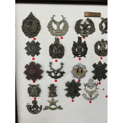 43 - Selection of 26 Scottish Regiment cap badges in a frame