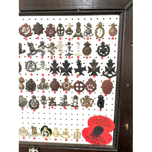 42 - Large selection of assorted Cap badges in a frame