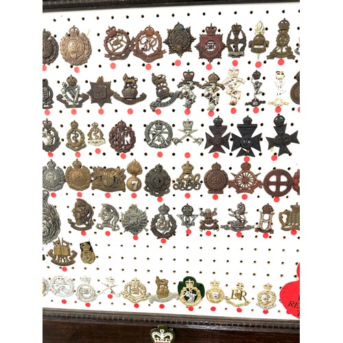 42 - Large selection of assorted Cap badges in a frame