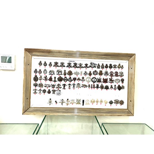 45 - Large selection of assorted Cap badges in a frame Cavalry Regiment