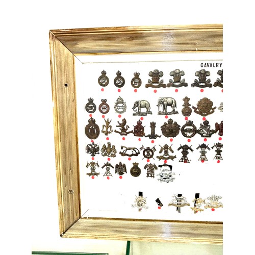 45 - Large selection of assorted Cap badges in a frame Cavalry Regiment