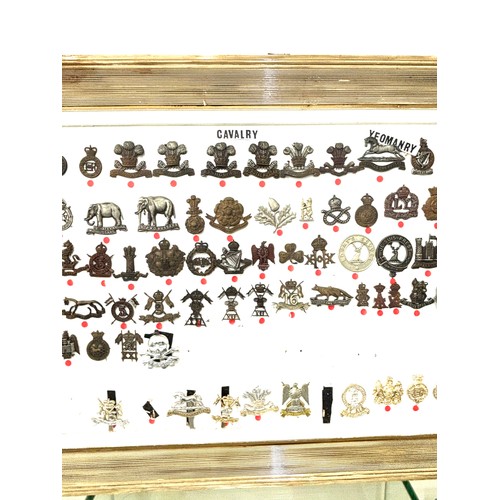 45 - Large selection of assorted Cap badges in a frame Cavalry Regiment