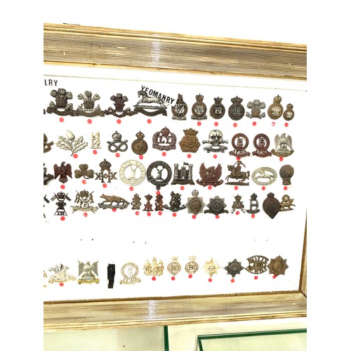 45 - Large selection of assorted Cap badges in a frame Cavalry Regiment