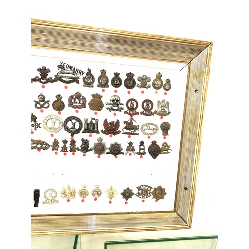 45 - Large selection of assorted Cap badges in a frame Cavalry Regiment