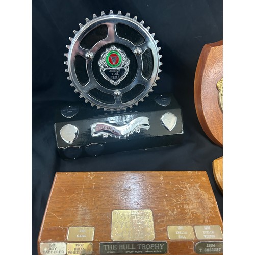 38 - Large selection of assorted trophies includes Time trail, bike trophies etc