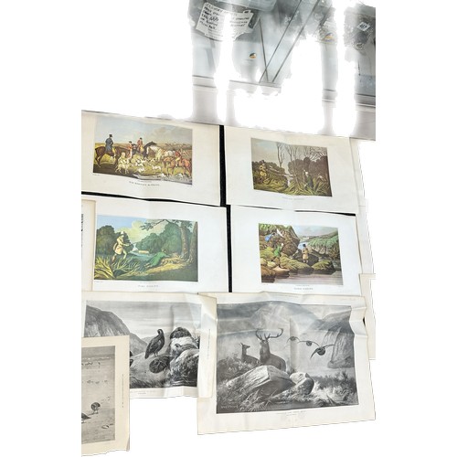 28 - Selection of 20 frameless assorted prints to include artists Archibald Thorburn etc largest measures... 