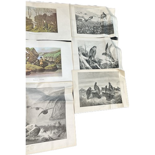 28 - Selection of 20 frameless assorted prints to include artists Archibald Thorburn etc largest measures... 