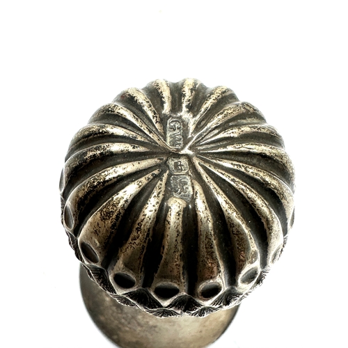 53 - Antique silver thistle shape pepper pot