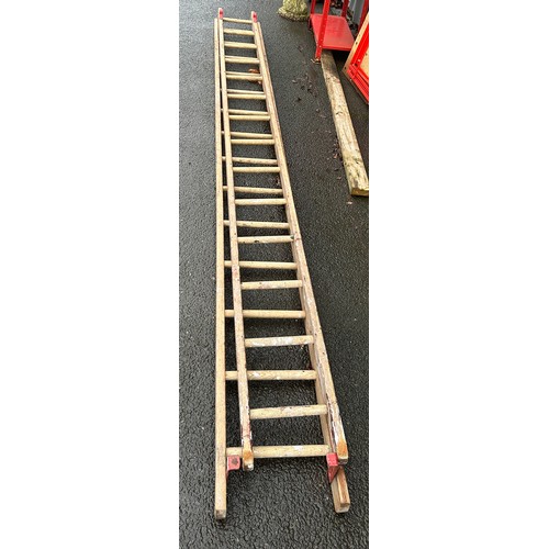 100D - Set of adjustable height wooden ladders