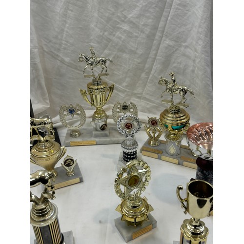 186 - Large selection of assorted Jockey/ cowboy  Trophies approximately 20 +