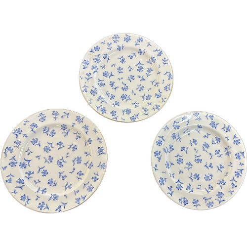 483 - Three vintage Royal Worcester tea plates approximate diameter 7 inches