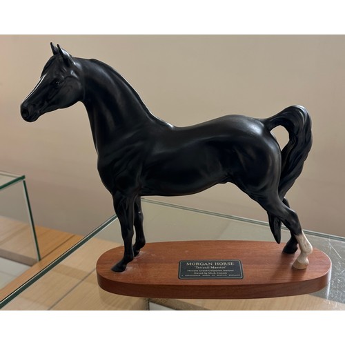 1 - Morgan horse Tarryall Maestro A connoisseur model by Beswick