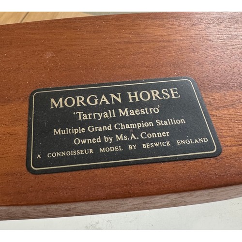 1 - Morgan horse Tarryall Maestro A connoisseur model by Beswick