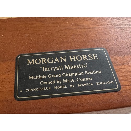 1 - Morgan horse Tarryall Maestro A connoisseur model by Beswick