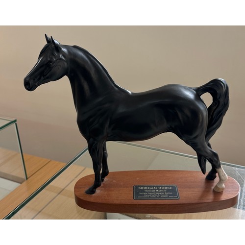 1 - Morgan horse Tarryall Maestro A connoisseur model by Beswick