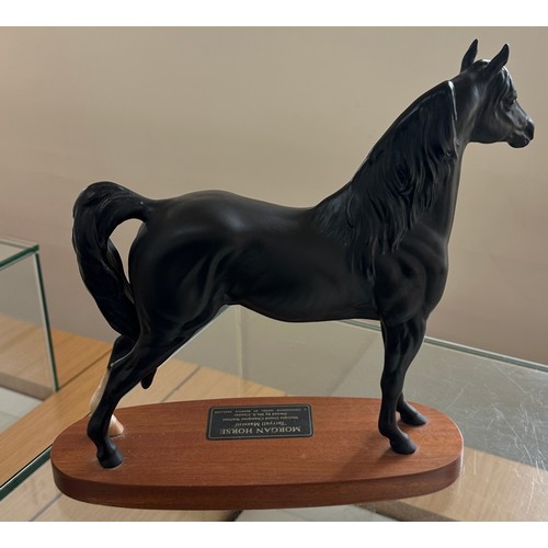 1 - Morgan horse Tarryall Maestro A connoisseur model by Beswick