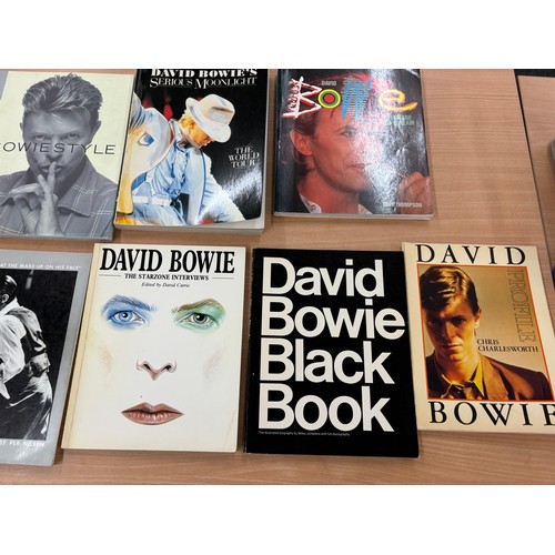 144 - Selection of Bowie books, tour programmes etc