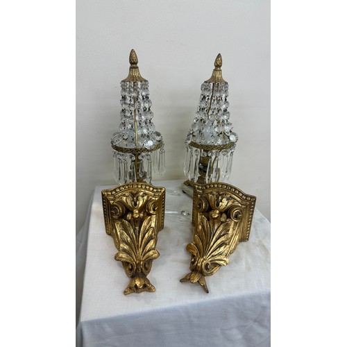 61 - Pair of lamps with gilt wall mounts