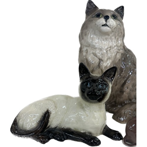 41 - Selection of Beswick cat ornament figures to include three Siamese cats, and a Persian cat, along wi... 