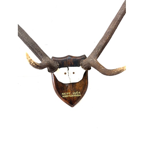 221 - Set of vintage animal horns dated Sept 1962 Ardtornish