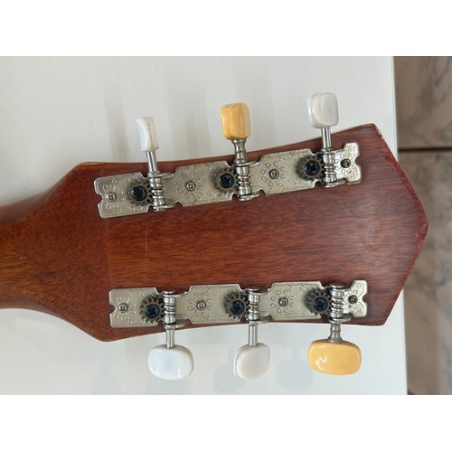 217 - Harmony acoustic guitar