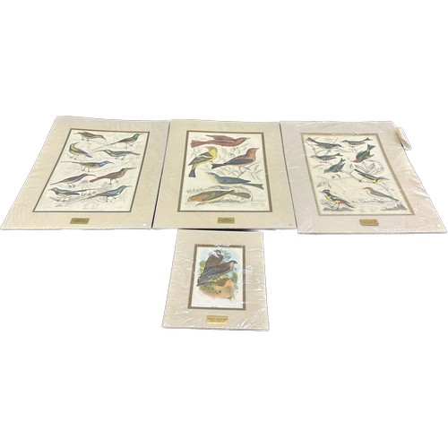 142 - Selection of vintage prints depicting birds signed by various artists ' L.Reinold', ' A.Wilson', ' J... 