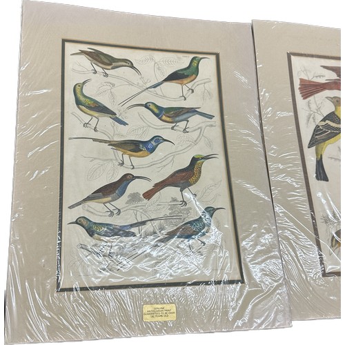 142 - Selection of vintage prints depicting birds signed by various artists ' L.Reinold', ' A.Wilson', ' J... 
