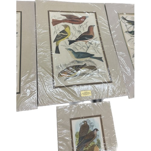 142 - Selection of vintage prints depicting birds signed by various artists ' L.Reinold', ' A.Wilson', ' J... 