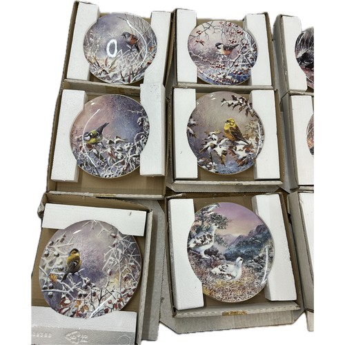 131 - Selection of Wedgwood Game Birds of Britain collectors plates and Wedgwood Fragile Paradise collecto... 